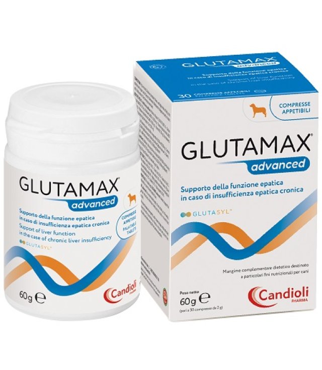 GLUTAMAX ADVANCED PASTA 30 ML